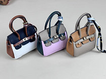 Сумка  Hermes Birkin для Paola Reina