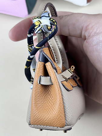 Сумка  Hermes Birkin для Paola Reina
